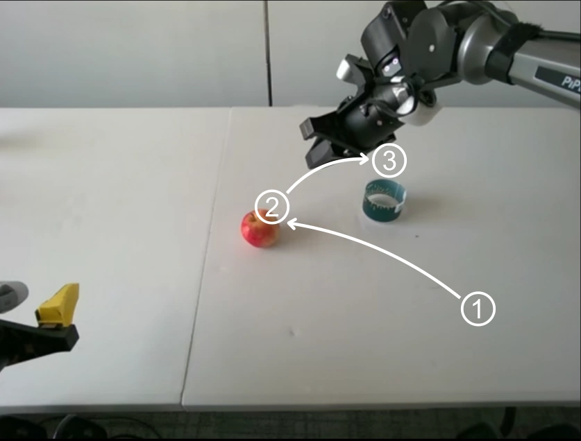 Robot placing a grasped apple into a container.